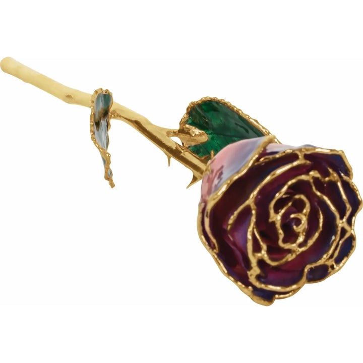 Lacquered Purple &amp; Pink Rose with Gold Trim