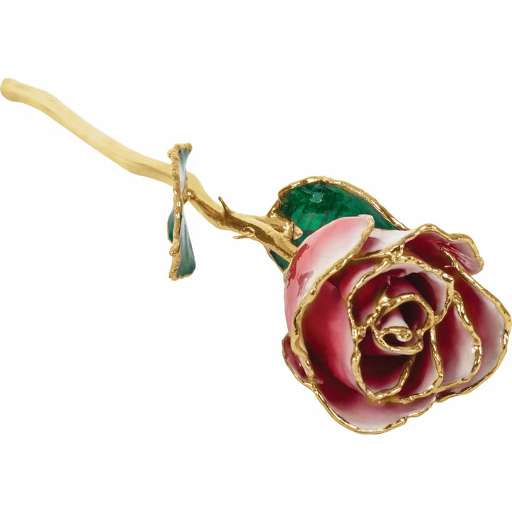 Lacquered Frozen White &amp; Red Rose with Gold Trim