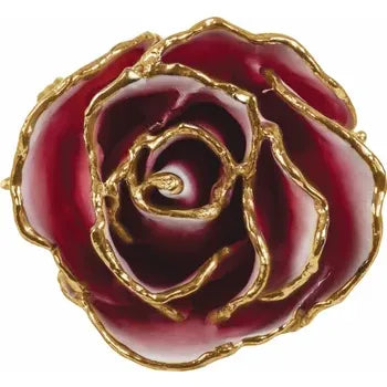 Lacquered Frozen White &amp; Red Rose with Gold Trim