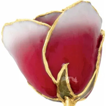 Lacquered Frozen White &amp; Red Rose with Gold Trim
