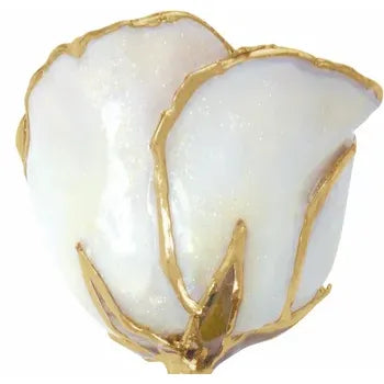 Lacquered Sparkle White Diamond Colored Rose with Gold Trim