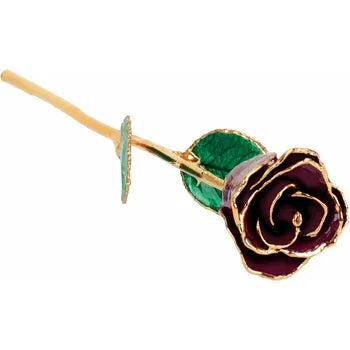 Lacquered Burgundy Rose with Gold Trim