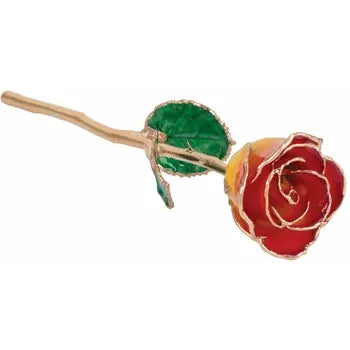 Lacquered Sunset Yellow &amp; Red Rose with Gold Trim
