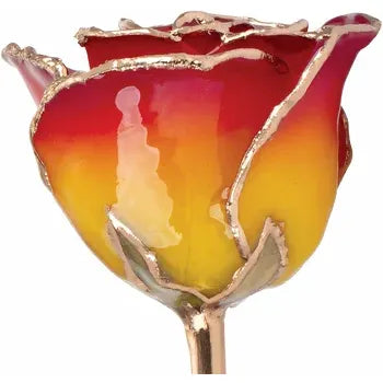 Lacquered Sunset Yellow &amp; Red Rose with Gold Trim